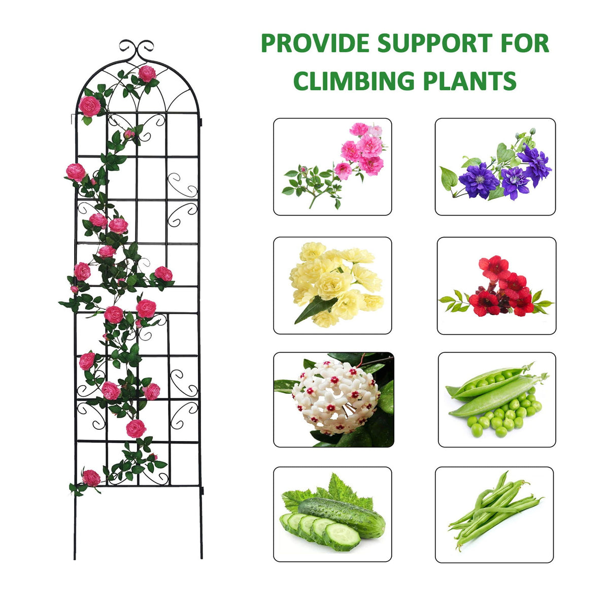 Metal Garden Rustproof Trellis For Climbing Plants Outdoor Flower Support, photo 8 of 40