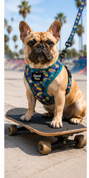 Totally Radical Reversible Dog Harness, Collar & Leash Set | Retro Gamer & Surf Skate Print | French Bulldog Harness by HouseOfZazla