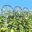 2 Pack Metal Garden Trellis