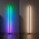 Smart Multicolor Floor Lamp (Black)