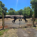 20x8 ft Steel Dual Swing Driveway Gate by Chery Industrial