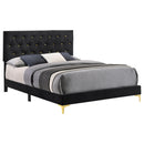 James - Panel Bed