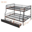 Contemporary Bunk Bed