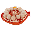 12 Egg Incubator with Automatic Egg Turner and LED Candler by HouseOfZazla