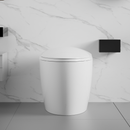 Unique Smart Toilet with Built-in Bidet