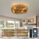 19" Caged Ceiling Fan with Lights and Remote by HouseOfZazla