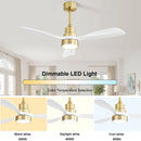 Indoor Ceiling Fan With Dimmable LED Light, 6 Speed Remote ControlLED DC Motor, Reversible Blades by Unique Piece Furniture
