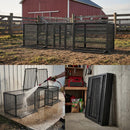 Thickened Chicken Coop For Outdoor - Black / Silver by HouseOfZazla
