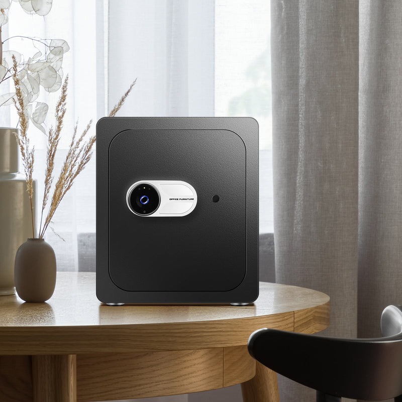 2 Cub Safe Box, 3 opening methods Safe for Money Valuables, Black