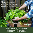 18" x 72" Planter Box - 24" TALL / Select Grade by Cedar Planters