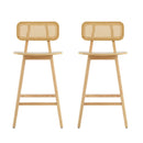 Bari Indoor Wood Barstool (Set of 2)