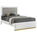 Sophia - Panel Bed With LED Headboard by HouseOfZazla