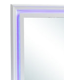 Lorana - Elegant Transitional LED Mirror by HouseOfZazla