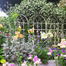 Metal Garden Rustproof Trellis For Climbing Plants Outdoor Flower Support by Unique Piece Furniture