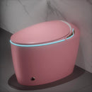 Unique Smart Toilet with Bidet Built-In