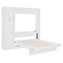 Murphy Wall Bed With Shelves, Wardrobe And LED Lights by HouseOfZazla
