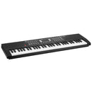 61 Keys Digital Music Keyboard Electric Piano Electronic Musical Instrument Kids Learning Keyboard with Stand Light Up Keys Microphone for 3-12 Year O