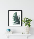Tropical botanical