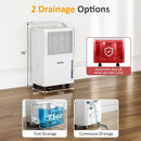 1500 Sq.Ft Dehumidifier for Home