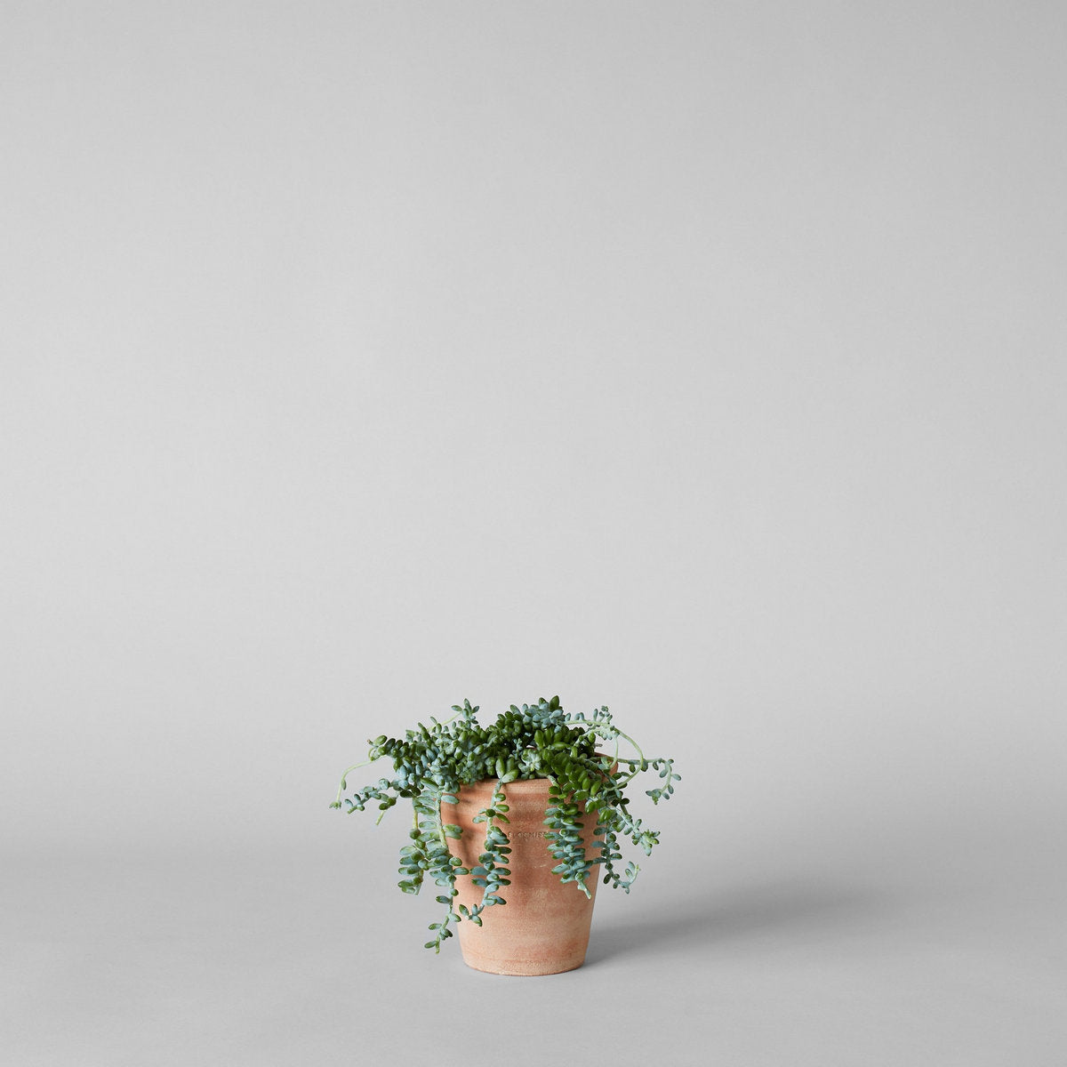 Terracotta Studio Planter, Whitewash, photo 10 of 14