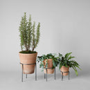 Terracotta Studio Planter, Whitewash by Bloomist