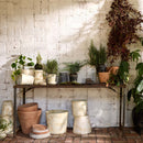 Terra Cotta Basic Planter, White Patina
