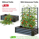 4x2x1FT Galvanized Raised Garden Bed with Arch Trellis