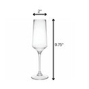 Tritan Lexington - Unbreakable Plastic Champagne Flutes, 10Oz (Set of 4) - Clear by HouseOfZazla