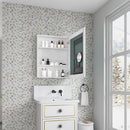 24'' W x 30'' H Surface Frameless Mirror Medicine Cabinet