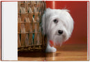Walter Chandoha. Dogs. Photographs 1941–1991 (English)