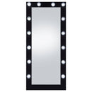 Zayan 32 x 71 Inch Floor Mirror LED Lighting Black Gloss
