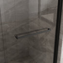 Goodyo Double Sliding Glass Shower Door 60 in. W x 72 in. H