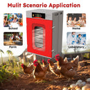 400-Egg Commercial Cabinet Incubator by HouseOfZazla
