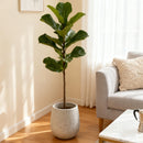 13.38' Dia x 16.14' H Large Round Planter by HouseOfZazla