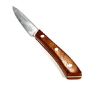 Small Plastic Paring Knife Prop