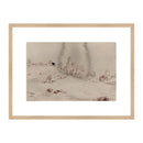 Traces of the Field I