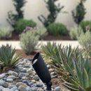 SPBP06 Tulay Black Brass Spot Light Low Voltage Landscape Lighting by Kings Outdoor Lighting