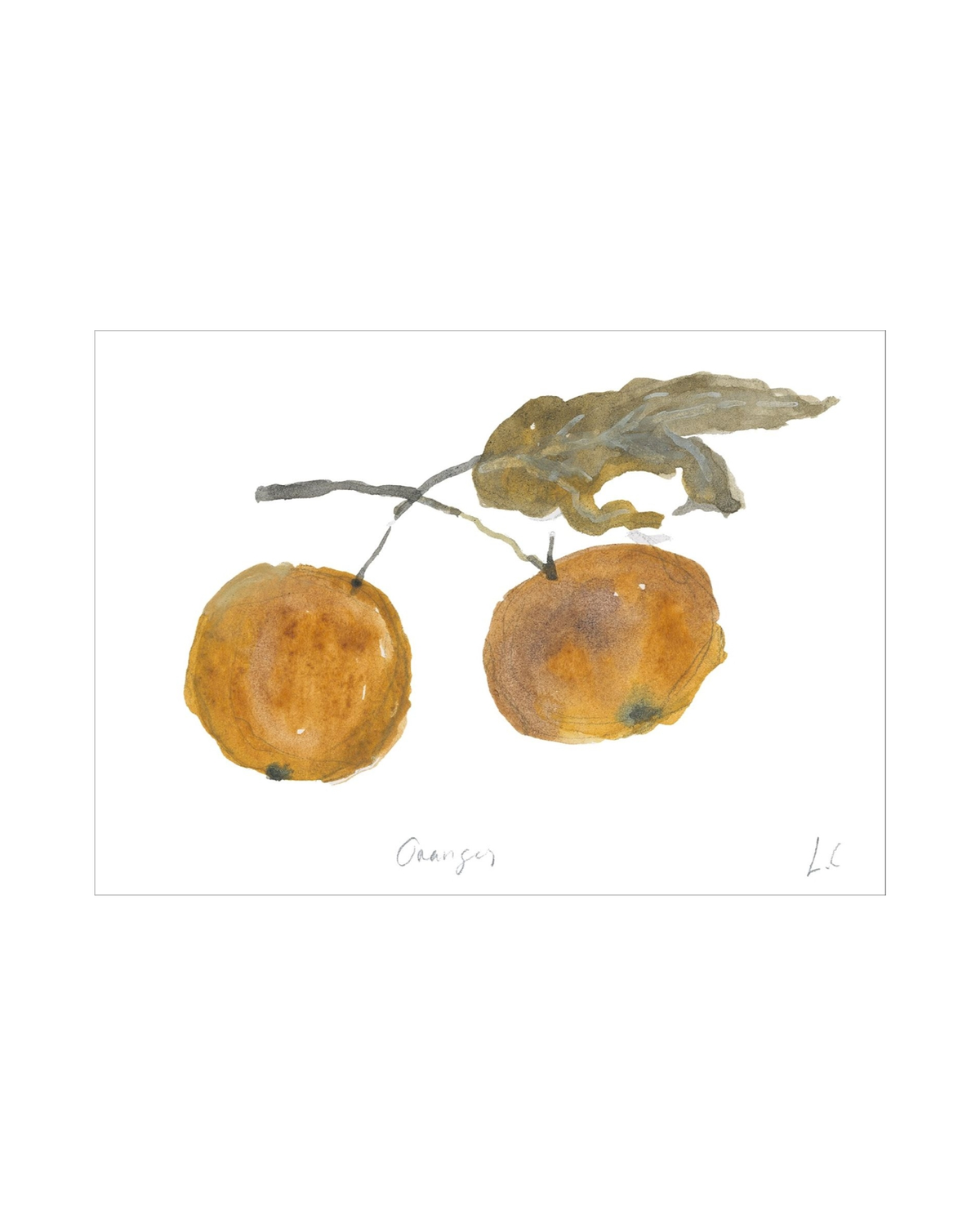 Oranges, photo 11 of 34