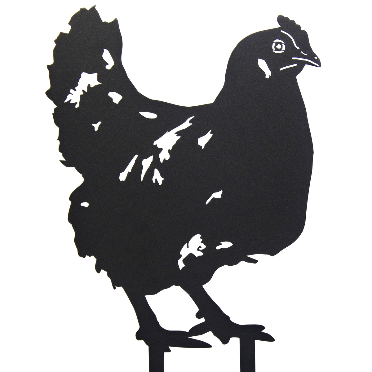 Chicken, photo 16 of 16