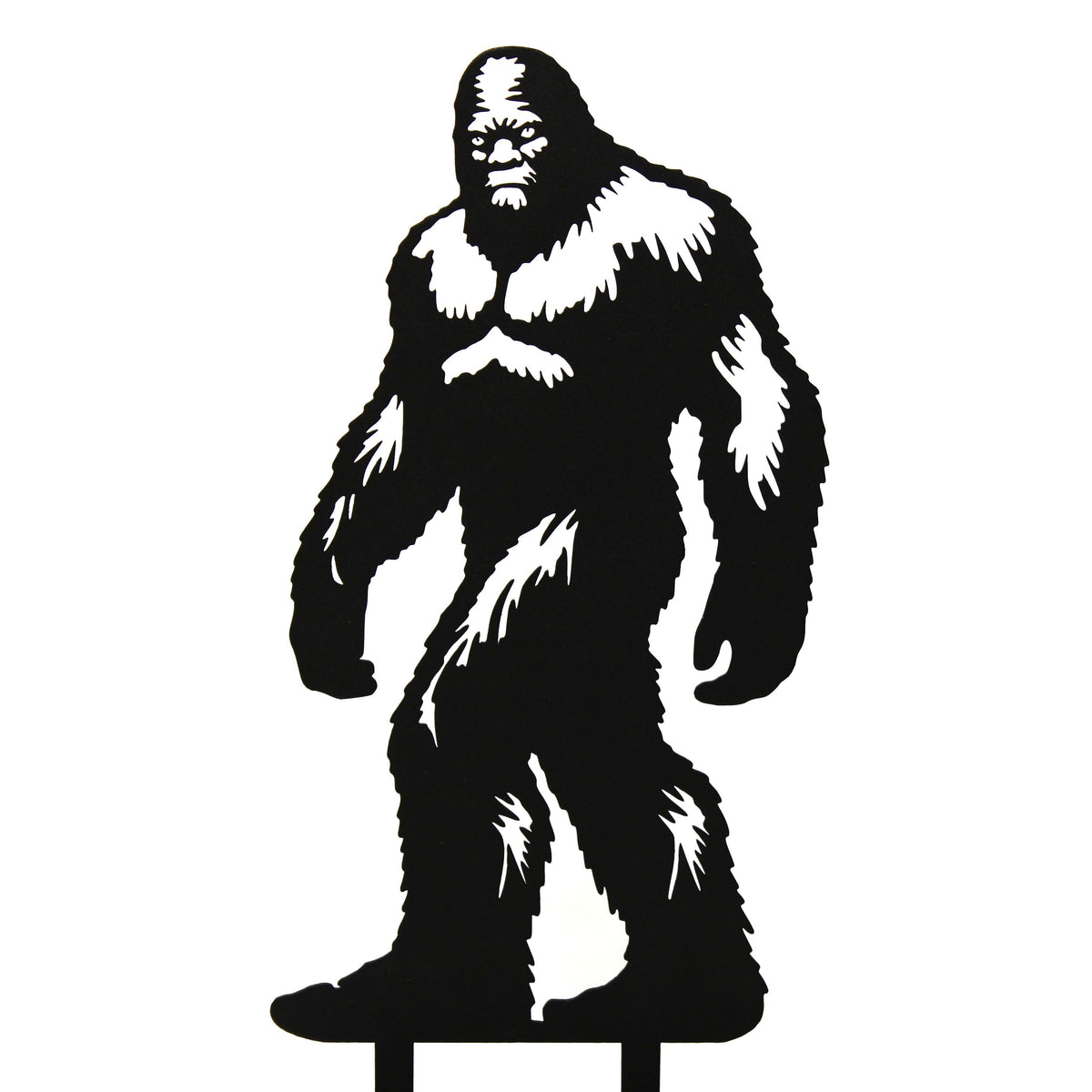 Sasquatch, photo 11 of 11