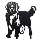 Golden Retriever - Standing