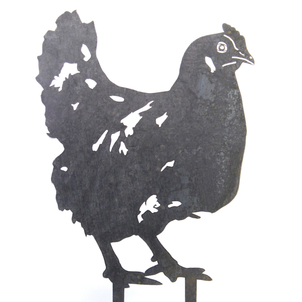 Chicken, photo 15 of 16