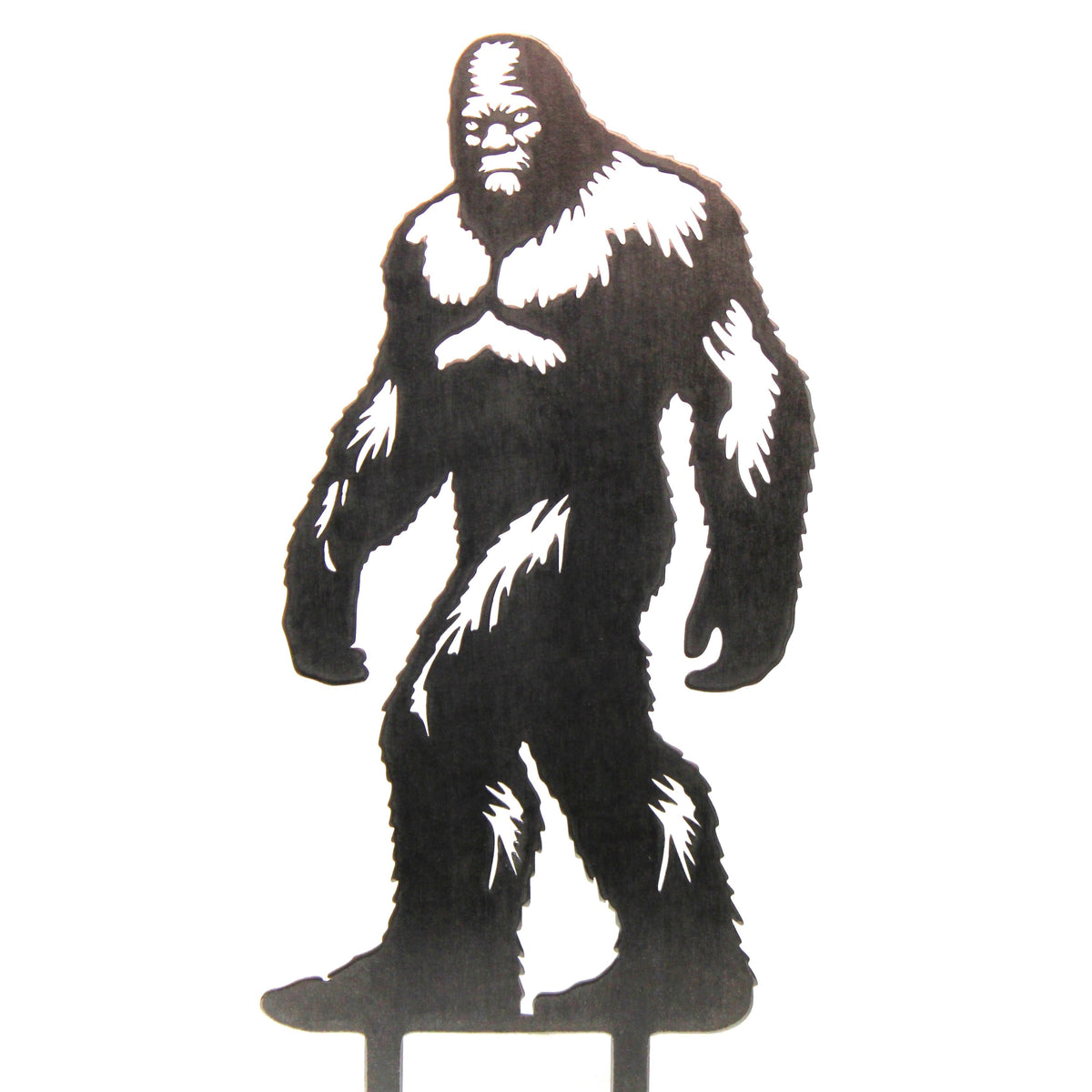 Sasquatch, photo 10 of 11