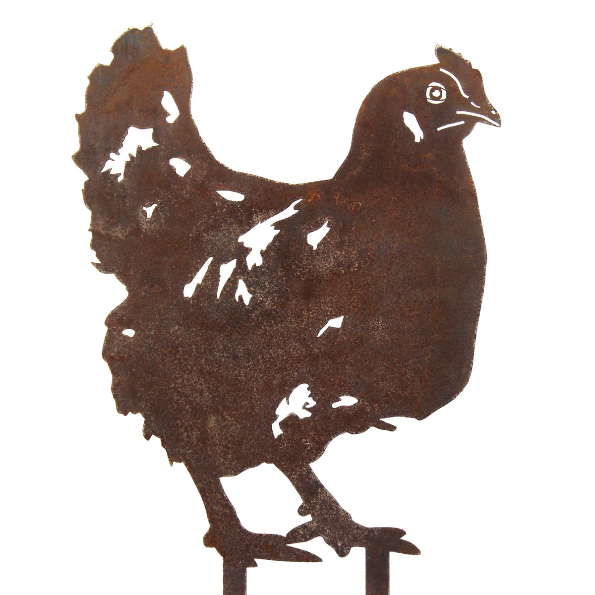 Chicken, photo 14 of 16