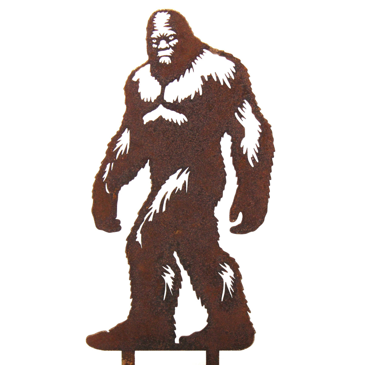 Sasquatch, photo 9 of 11