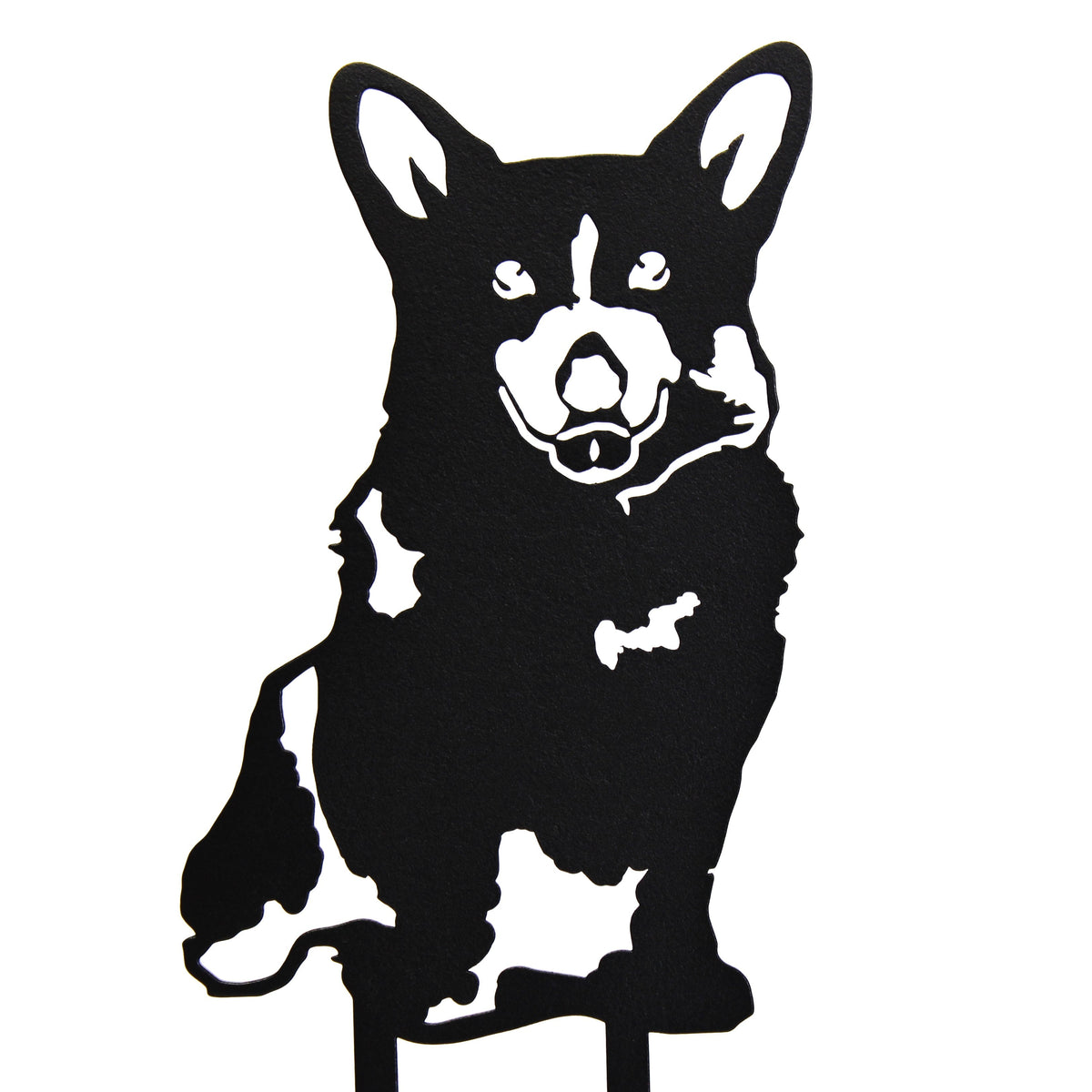 Corgi, photo 15 of 15