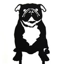 English Bulldog