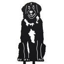 Leonberger