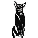 Belgian Malinois