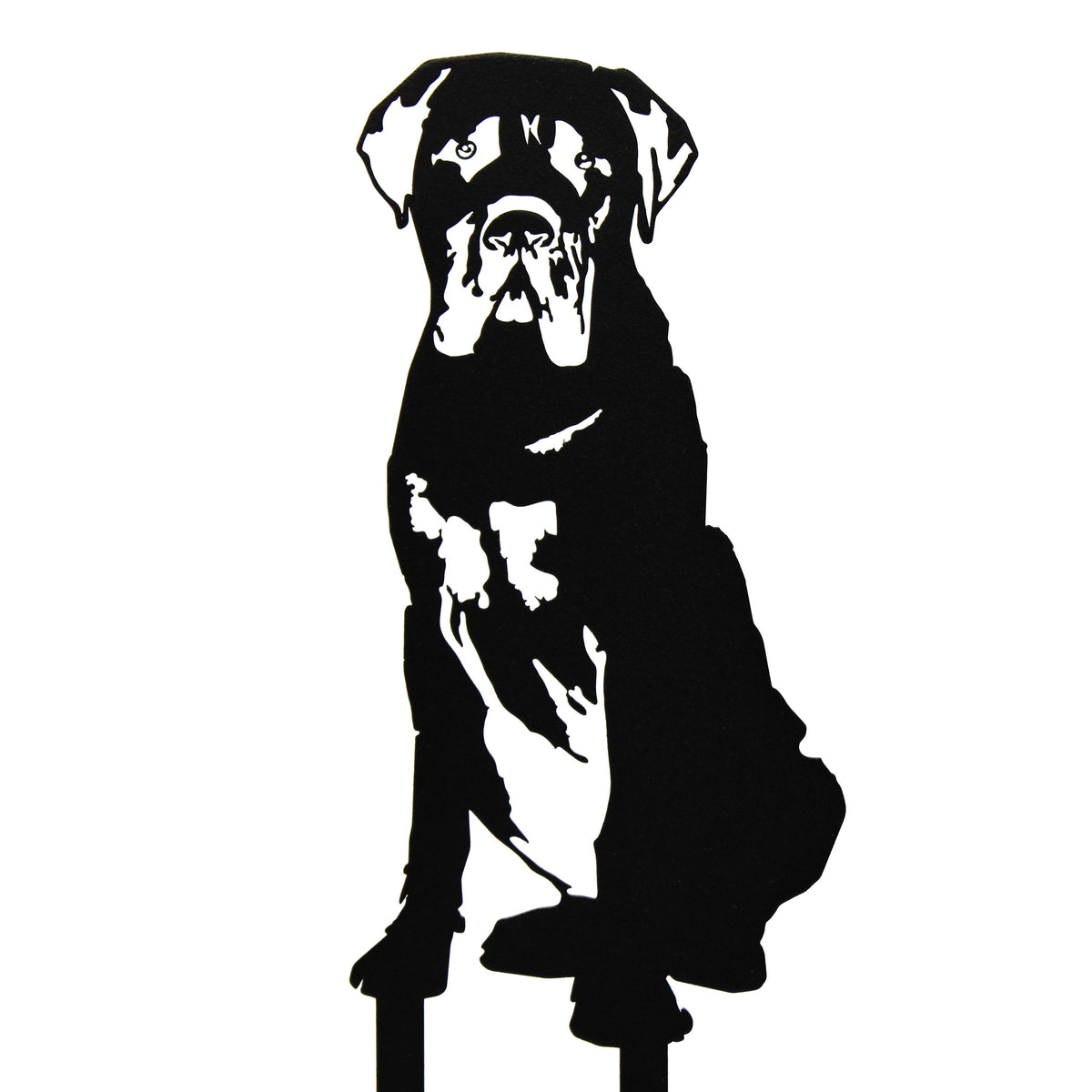 Mastiff, photo 13 of 13
